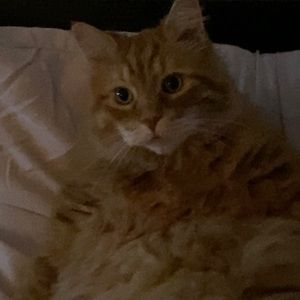 Meet your Posher, Ellie